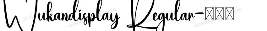 Wukandisplay Regular字体转换